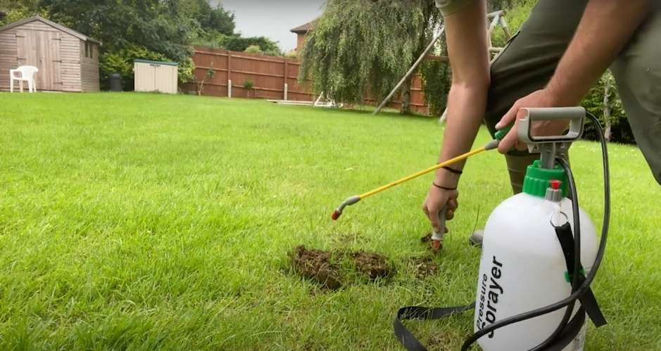Colony Elimination