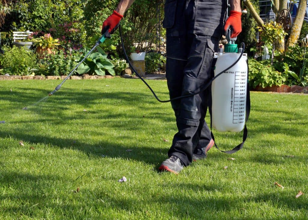 Garden & Yard Protection