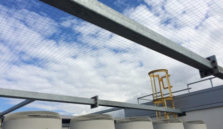 Commercial Bird Control