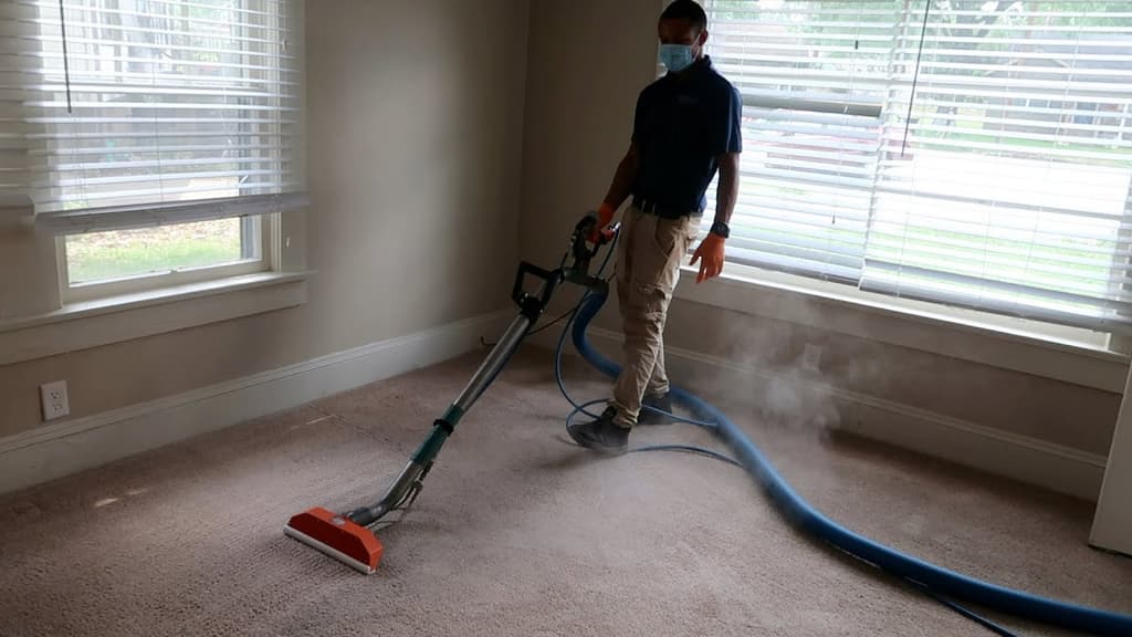 Carpet & Rug Protection