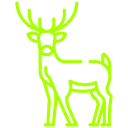 Wild Life Pest Control