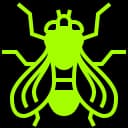 Flies Pest Control