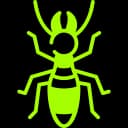 Termites Pest Control