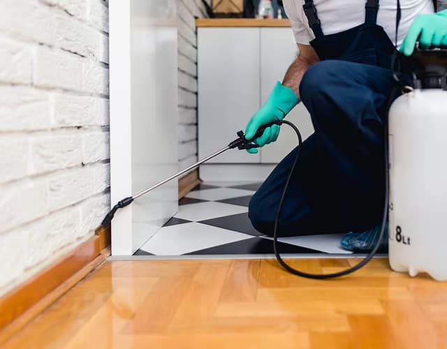 Targeted Treatment for Common Household Pests