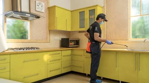 Kitchen & Pantry Protection