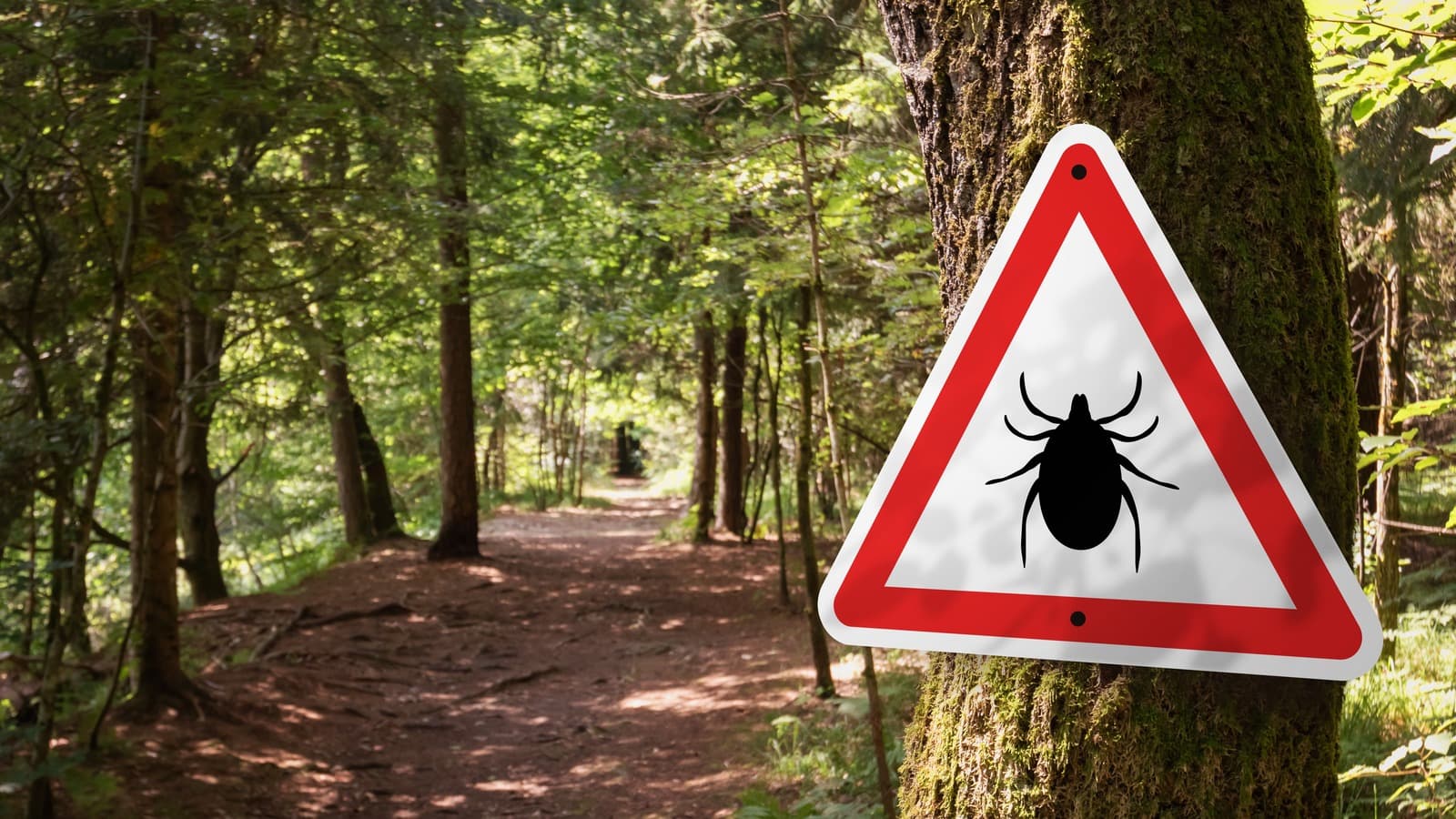Structural Tick Control